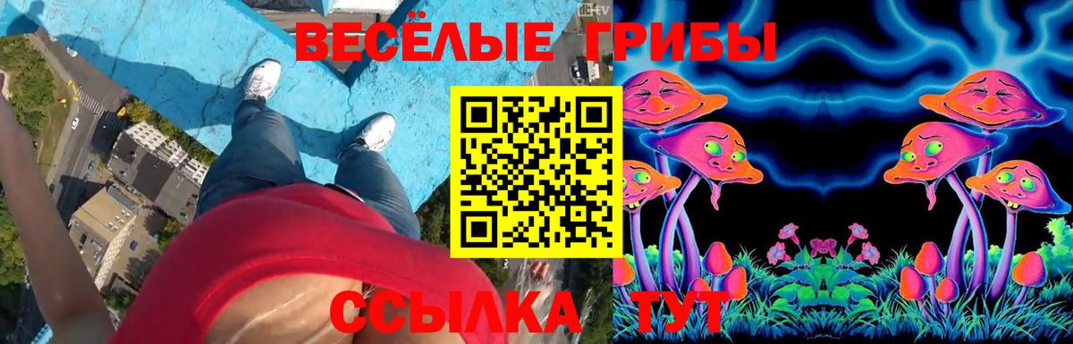 Пенза  Галлюциногенные грибы Magic Shrooms  Вход с VPN  Псилоцибиновые грибы GOLDEN TEACHER 